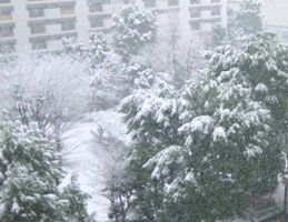 2008.02.03�̐�i�F�^������B�e