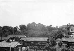 �c�����t��