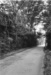 �c�����t��